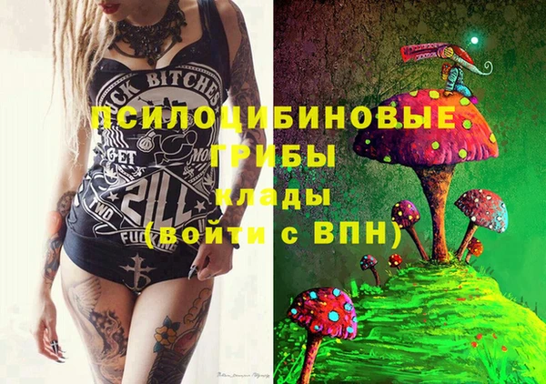 сатива Елизово