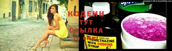 сатива Елабуга