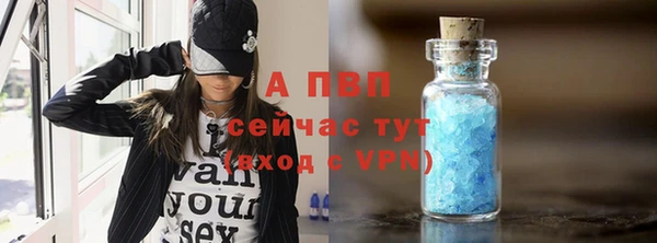 сатива Елизово