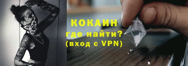 сатива Елабуга