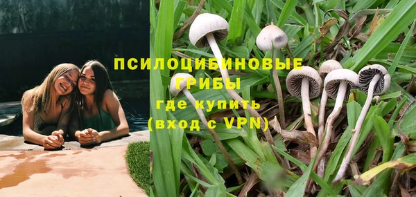 сатива Елабуга