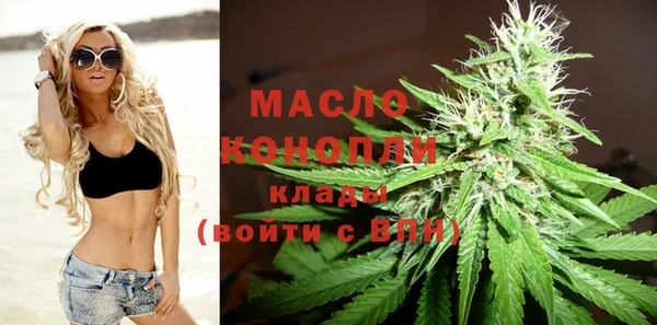 сатива Елизово