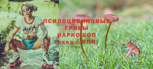 сатива Елабуга