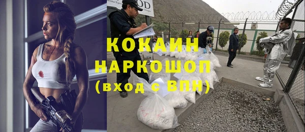 сатива Елабуга