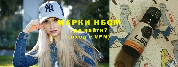 сатива Елабуга