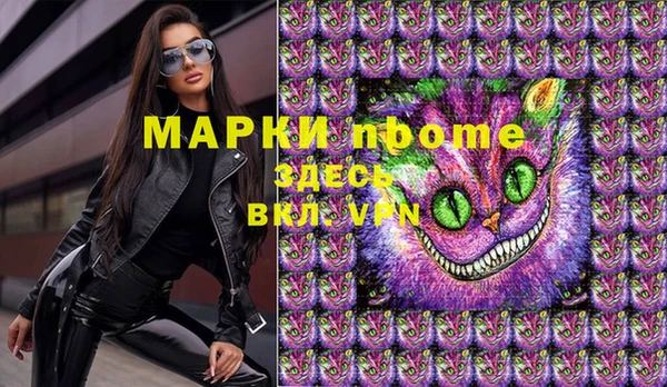 сатива Елабуга