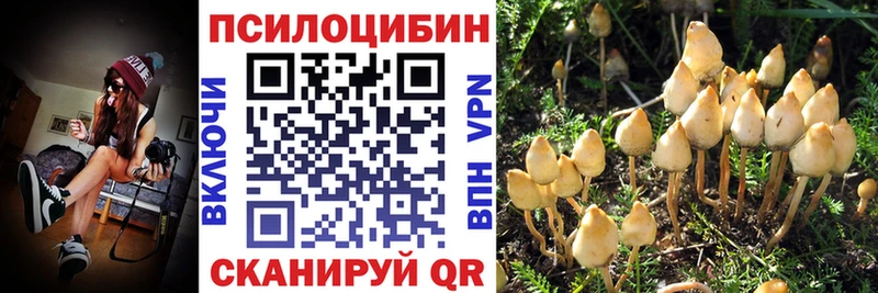 Псилоцибиновые грибы Cubensis  Купить закладки  Кораблино 